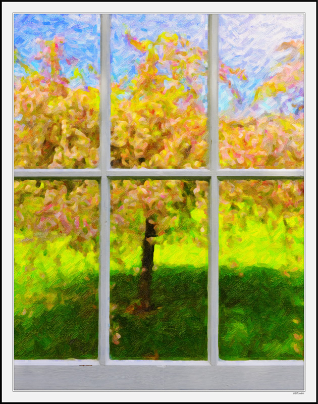 Through My Window - Apple Blossoms XI