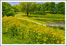 Monet Garden