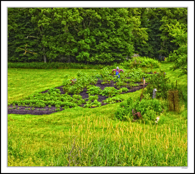 Scarecrow Garden