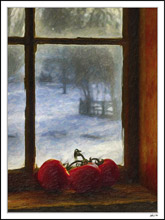 Barn Window - Winter Fruit II