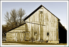 The Bicycle Barn