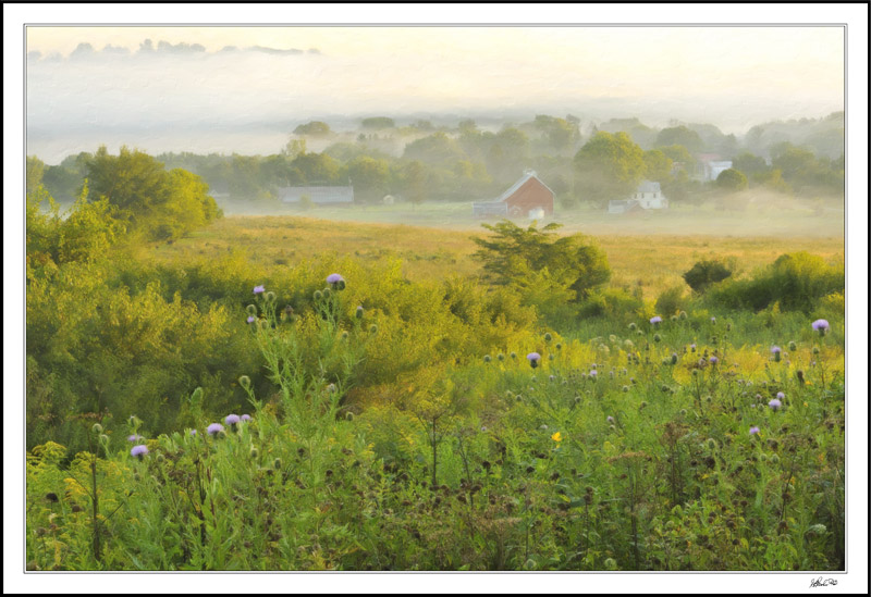 Wadena Misty Morning