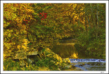 Orman Creek Autumn Hollow