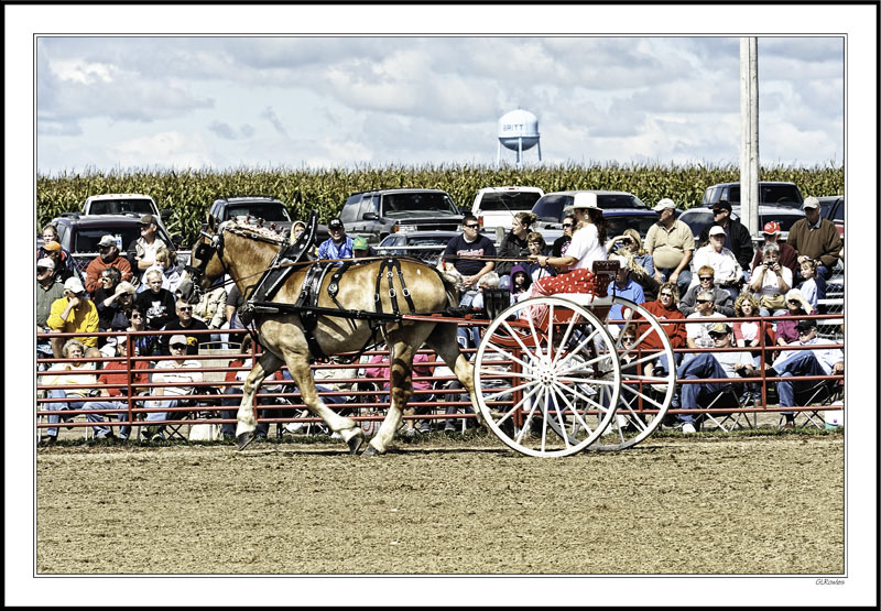 Draft Horse Show Impressions