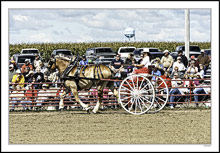 Draft Horse Show Impressions