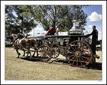 Draft Horse Show Impressions