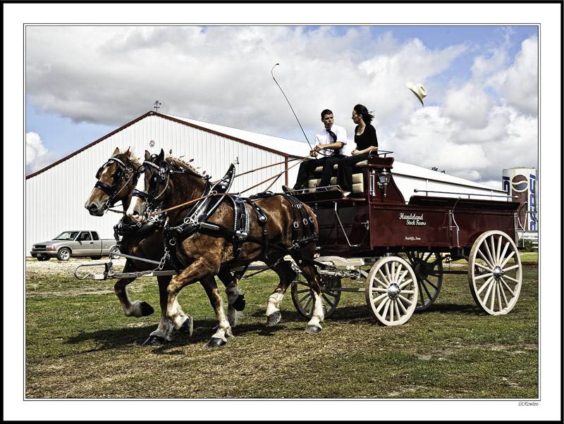 Draft Horse Show Impressions