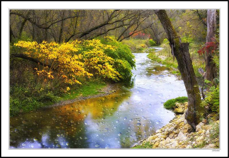 Enchanted Brook