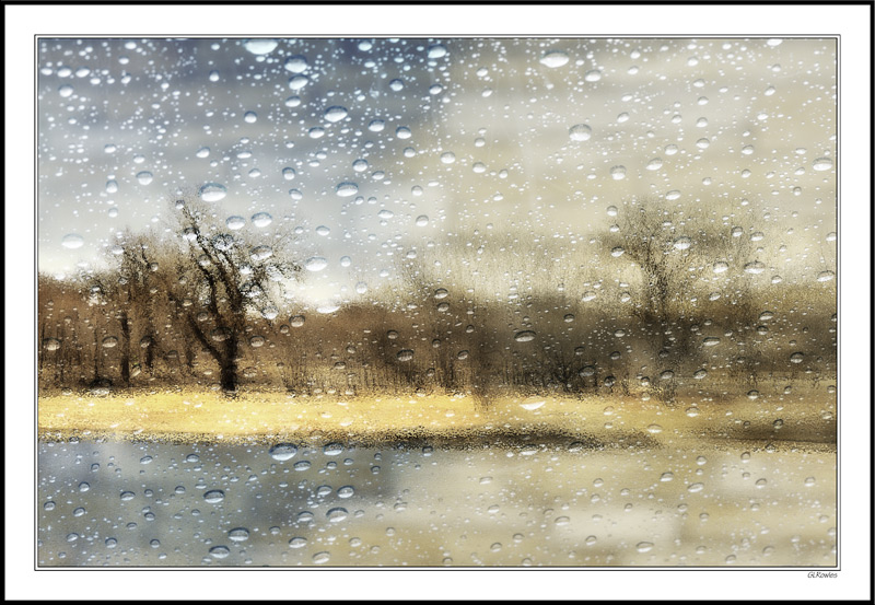 Storm Front Treeline