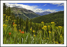 Mt. Elbert Vista, Independence Pass