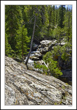 Lincoln Gulch, Independence Pass