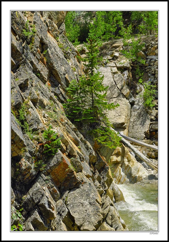 Roaring Fork River Rockface