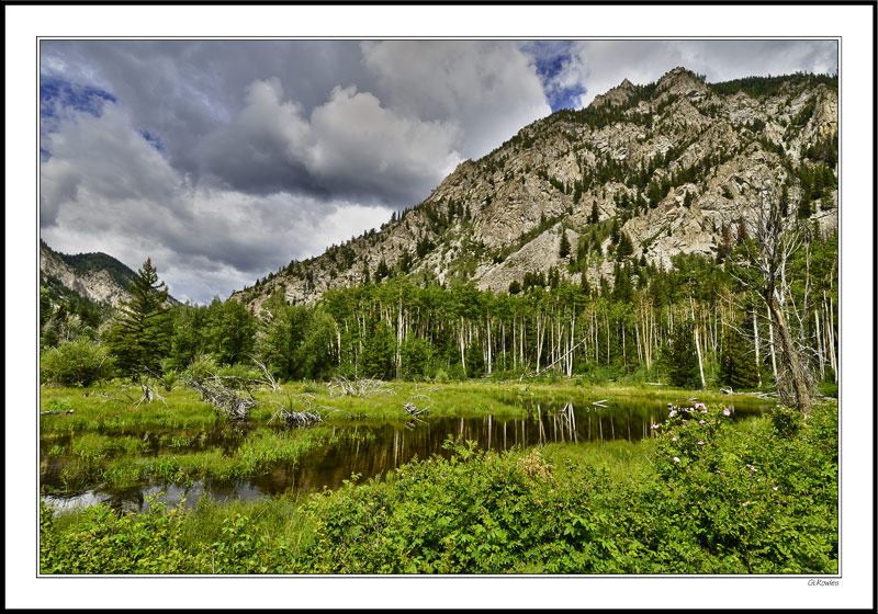 Wetland Pond; Cottonwood Pass