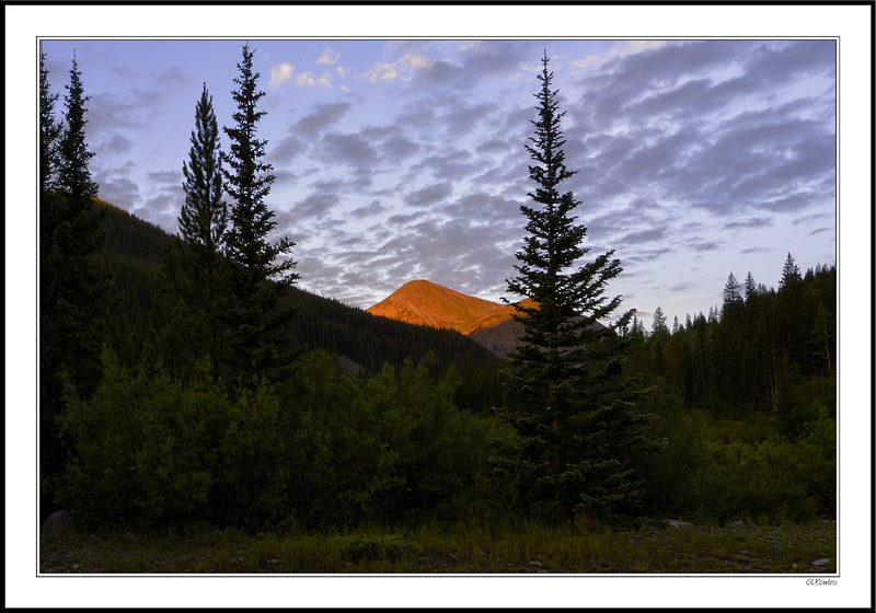 Sunlit Crown