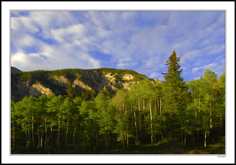 Pillow Clouds & Aspen Textures, Cottonwood Pass