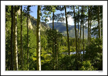 Cottonwood Pass Visual Treasures