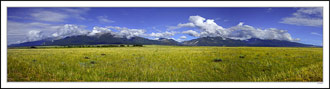 Mt. Antero, Mt. Princeton, Mt. Yale