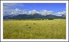 Mt. Princeton