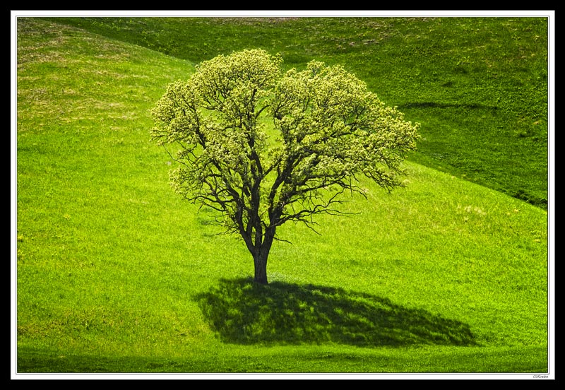 Shadows And Folds