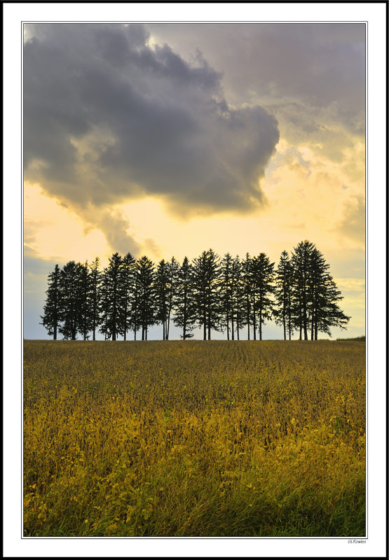 Windbreak