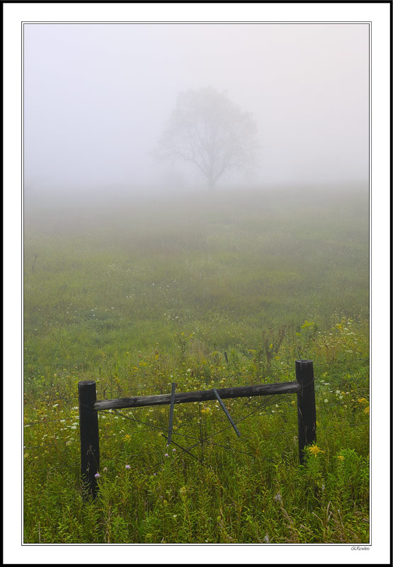 Foggy Stretch