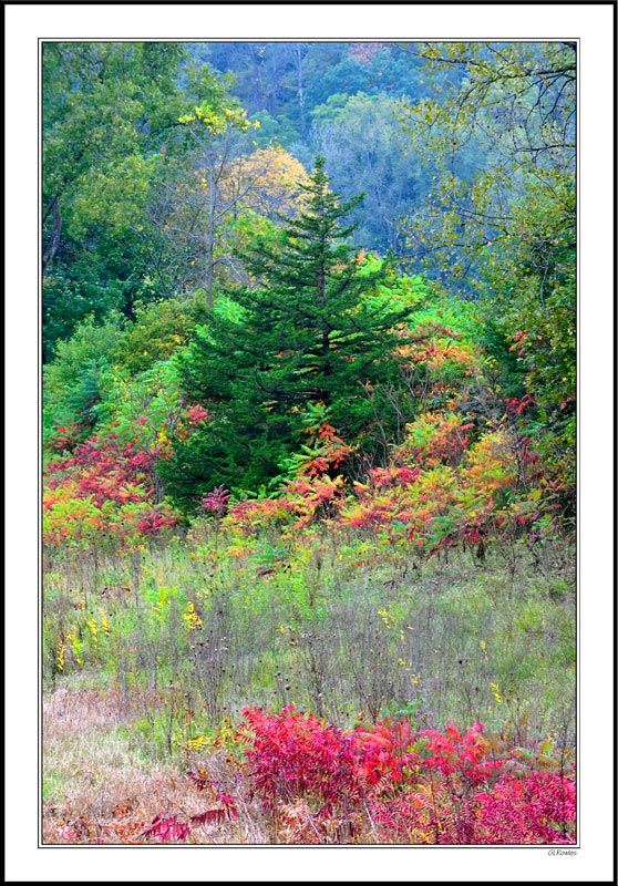 Mother Nature's Candy Dish