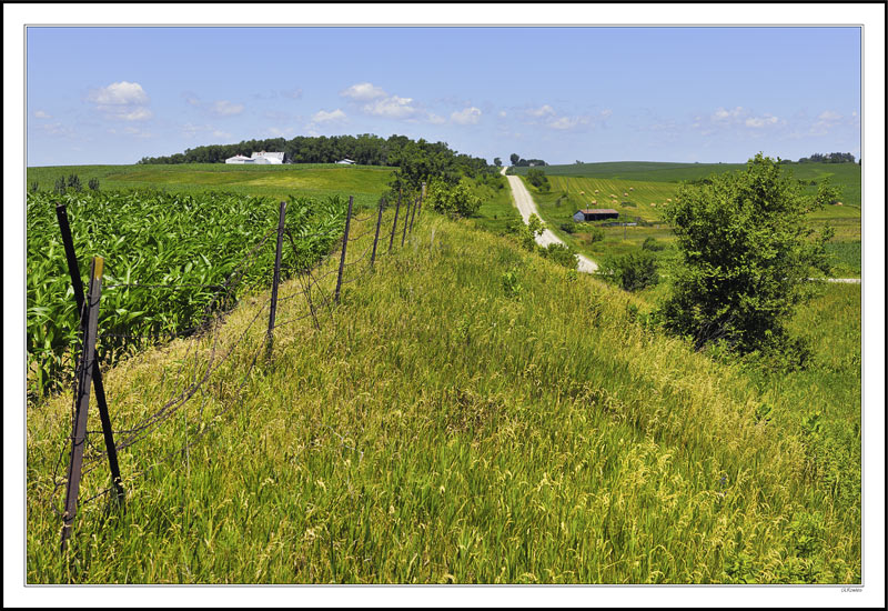 Rolling Hills in Grain and Gravel