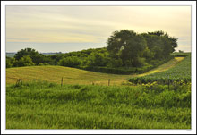 Haying a Harvest Path