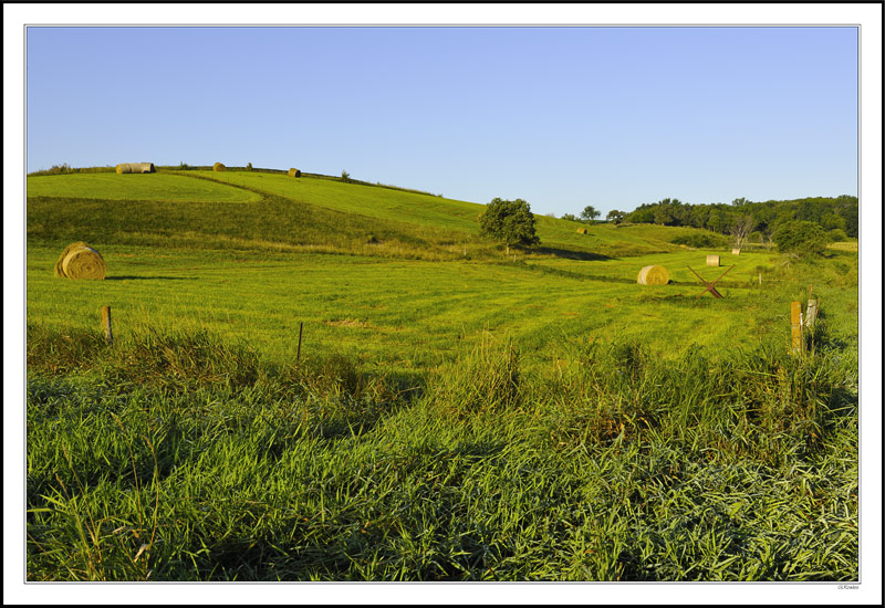 Rolling Hills