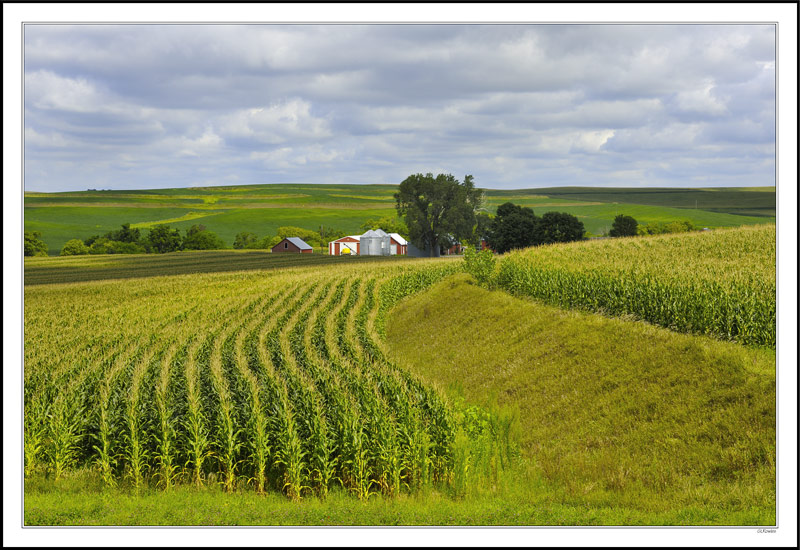 Terraced Rows