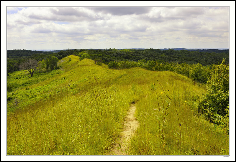 Loess Hills Hogback I