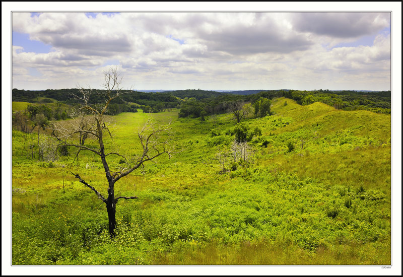 Loess Hills Hogback II