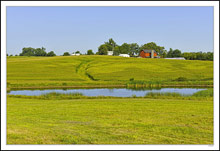 Rural Scenic