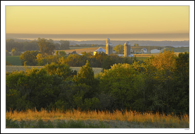 Harvest Dawn