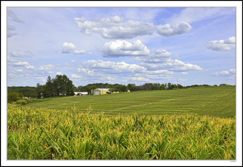 Drying the Hay