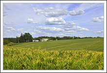 Drying the Hay