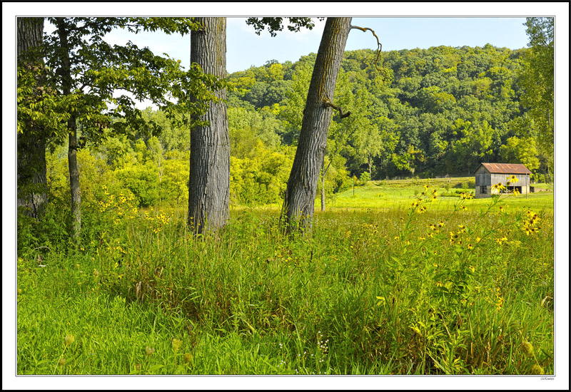 Buck Creek Rear View