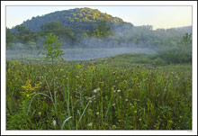 King Road Mists II