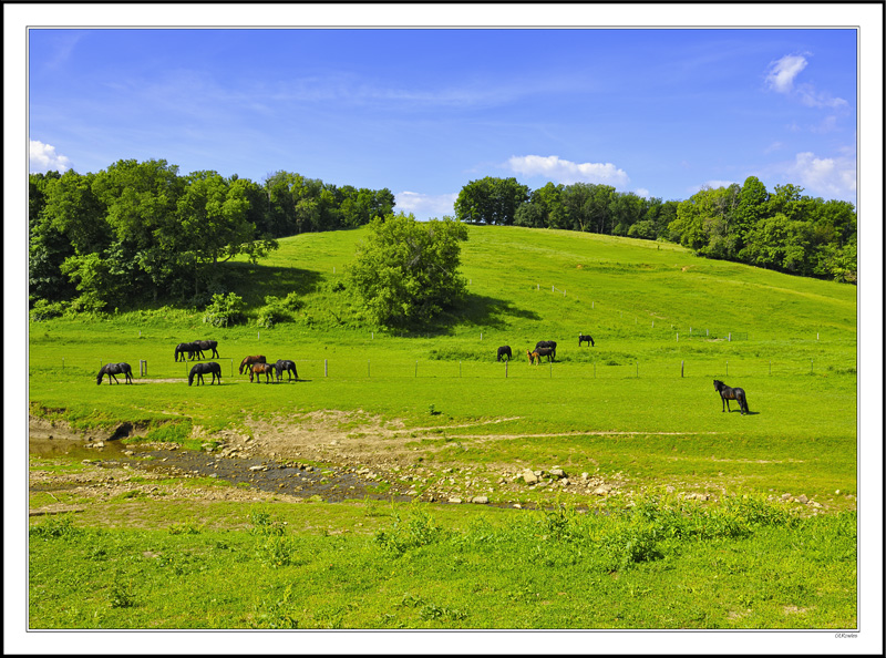 Breezy Graze Creek