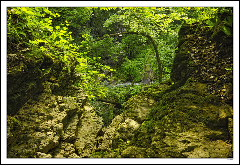 Above Dutton's Cave