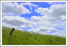 Cloud-Blown Fenceline