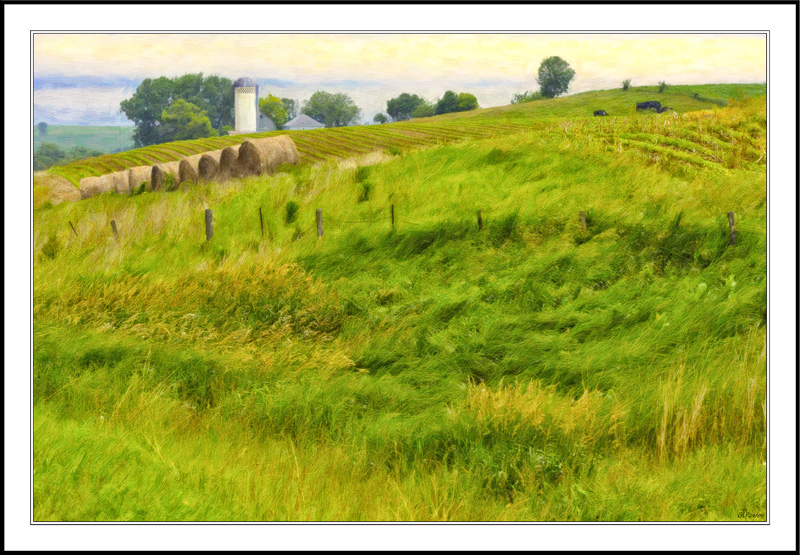 Wind-Blown Fields