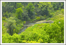 Paint Creek Overlook