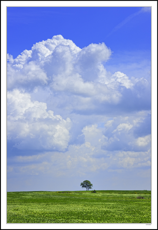 David Tree Meets Goliath Cloud