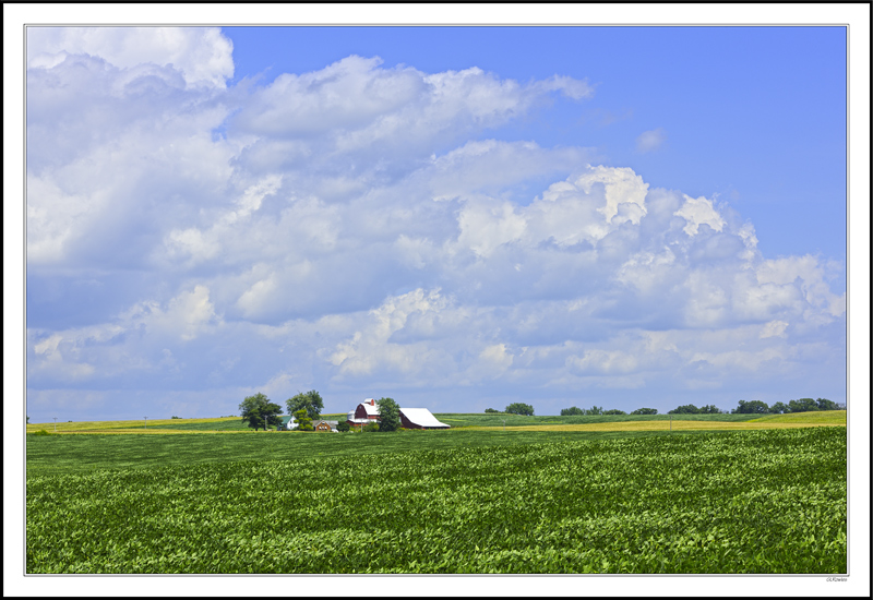 Contrasting Textures In Beans and Clouds