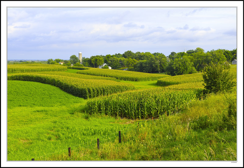 Buffer Strips Create Textural Mazes II