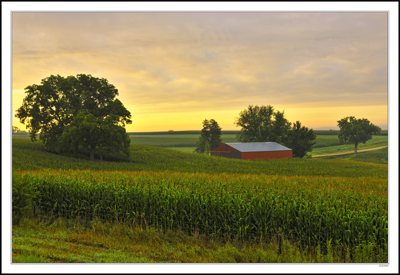 Splendored Sunrise Warms The Bounty I