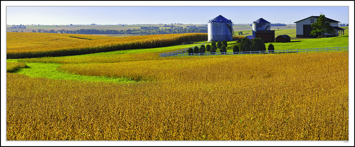 Tuscany In Flyover Country I