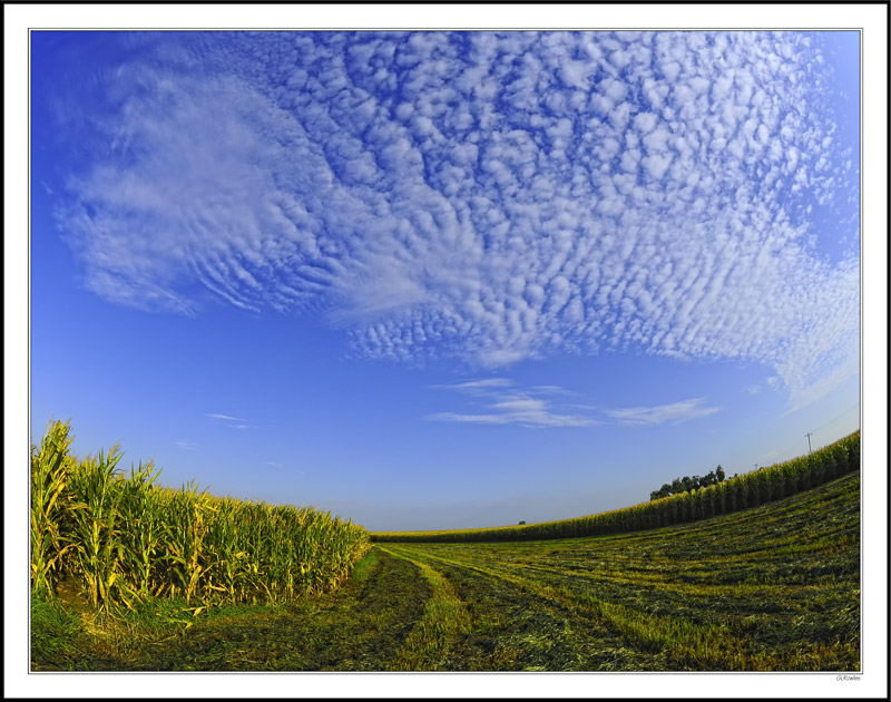 Cloud Rows