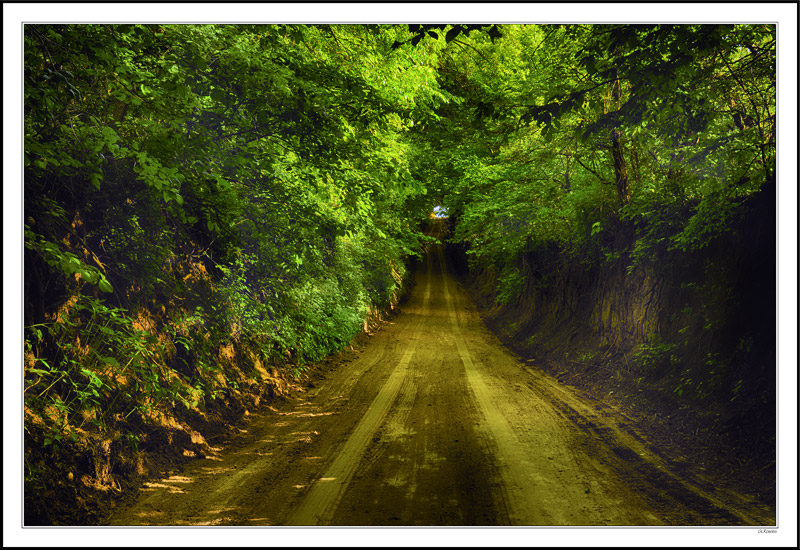 Tunnel Of Loveliness